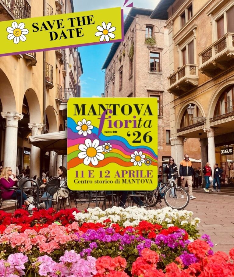 Matova fiorita a Mantova