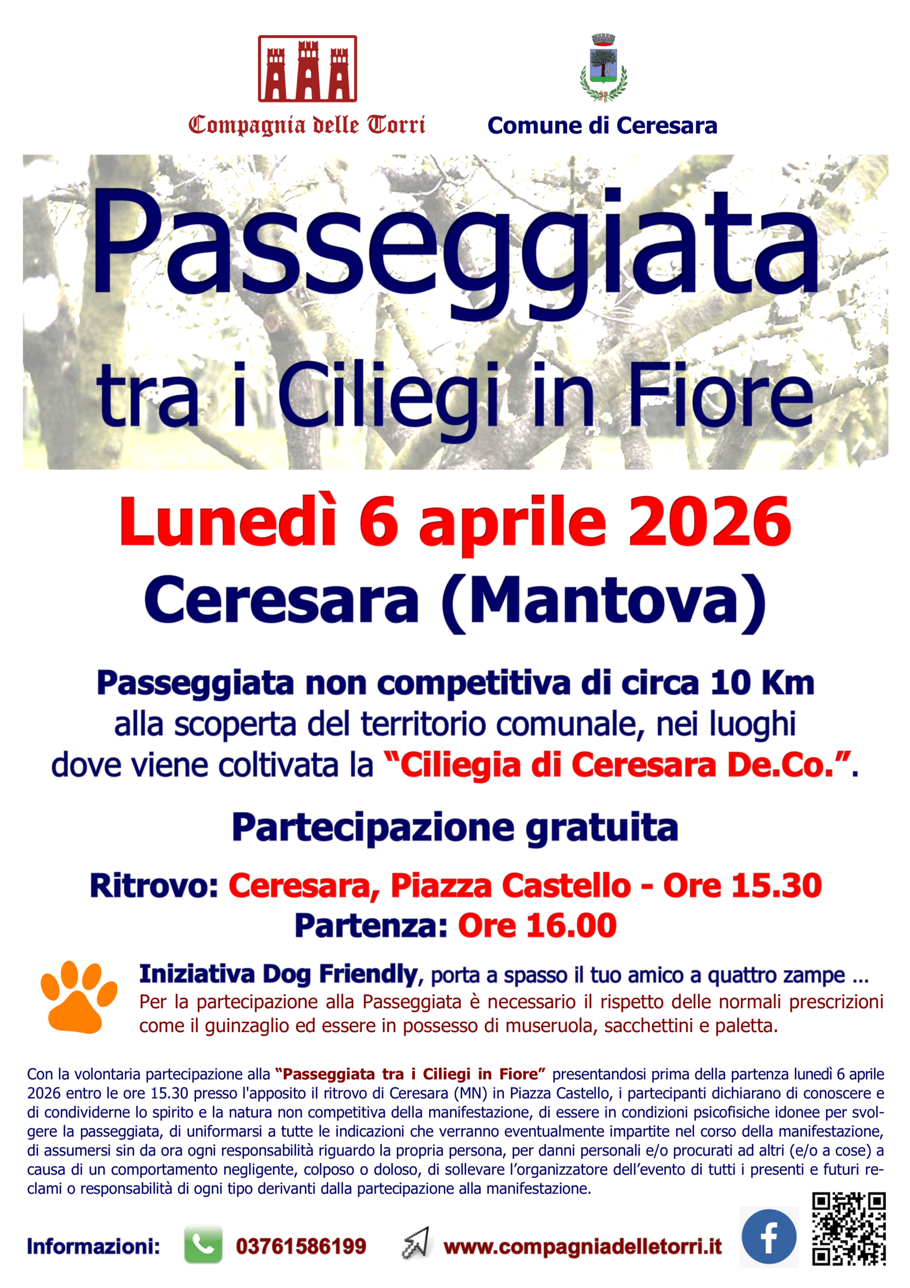 Locandina Passeggiata trai ciliegi in fiore