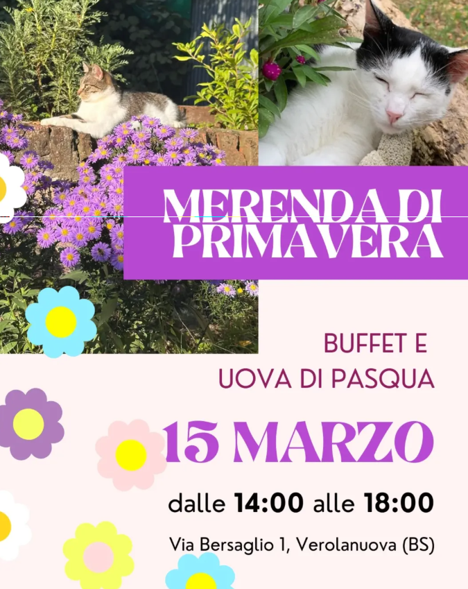 Locandina Merenda di Primavera