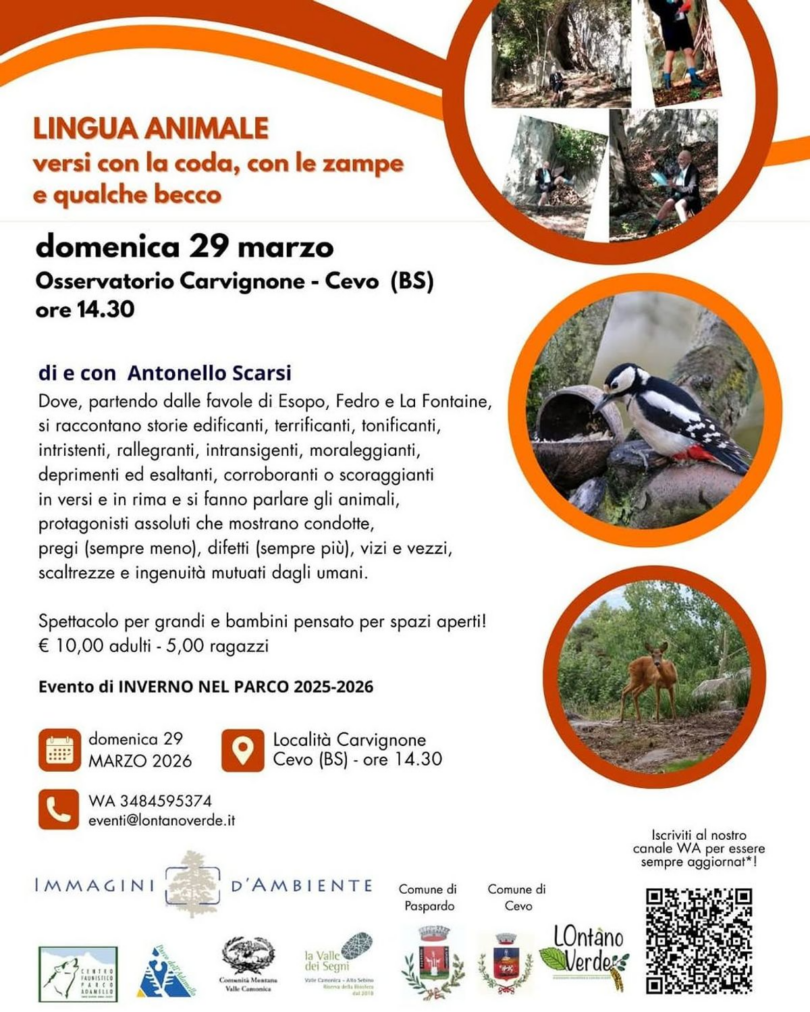 Locandina Lingua Animale