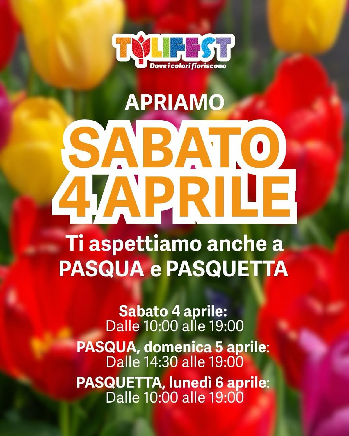 Locandina TuliFest
