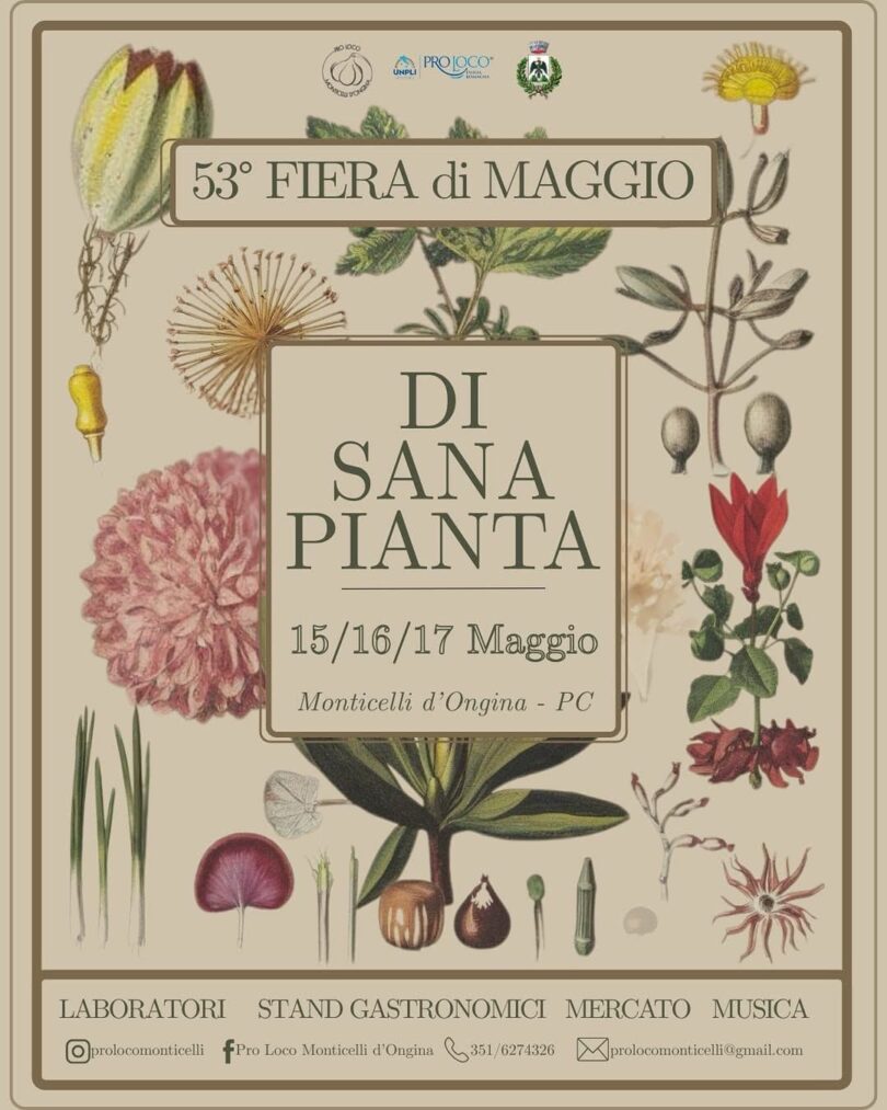 Locandina Di Sana Pianta