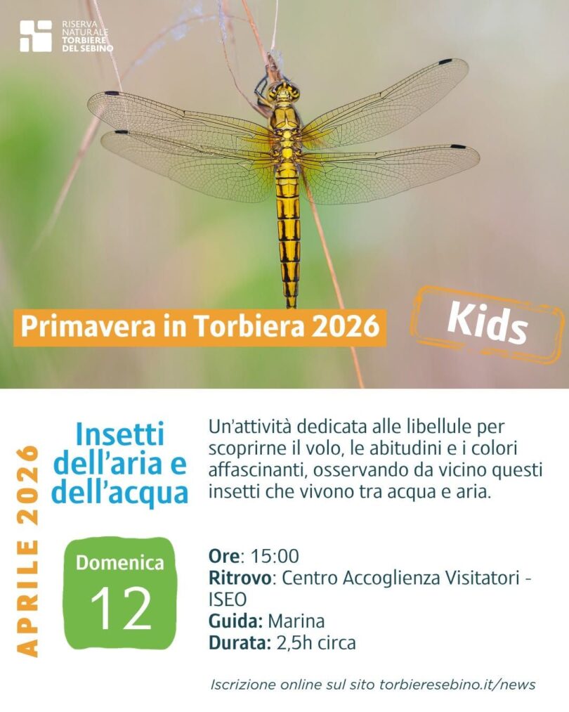 Locandina Insetti dell’aria e dell’acqua