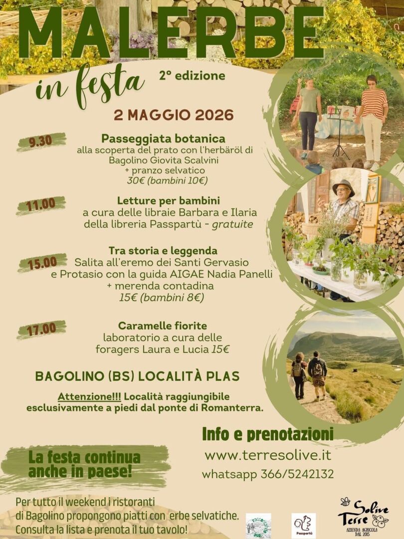 Locandina Malerbe in Festa