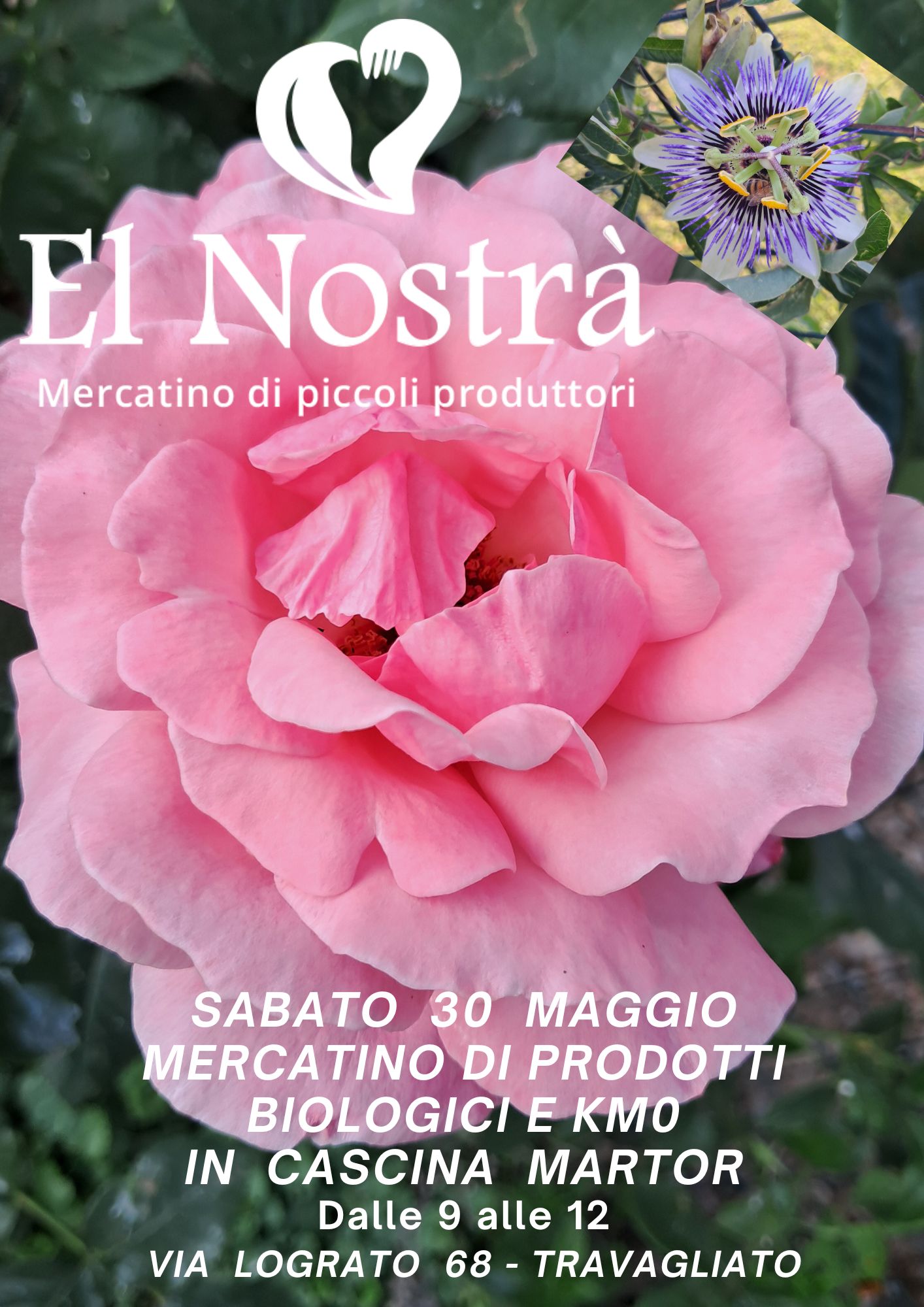 Locandina El nostrà