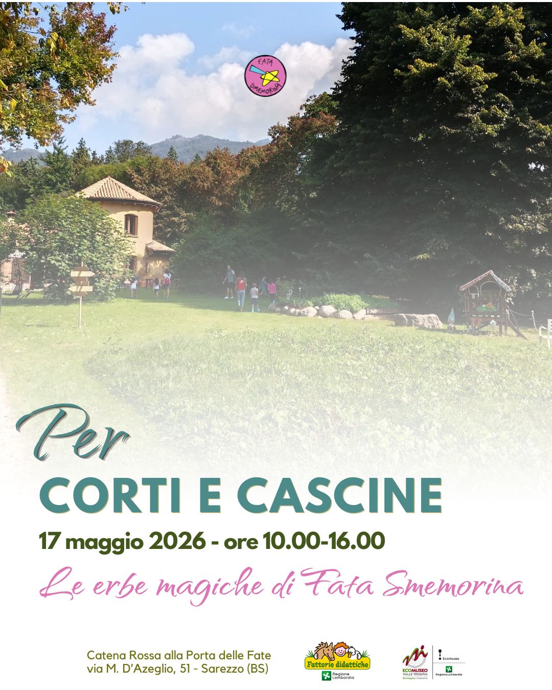 Locandina Le erbe magiche