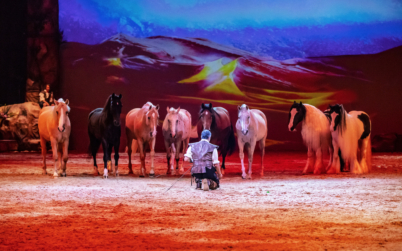 Locandina Cremona horse show