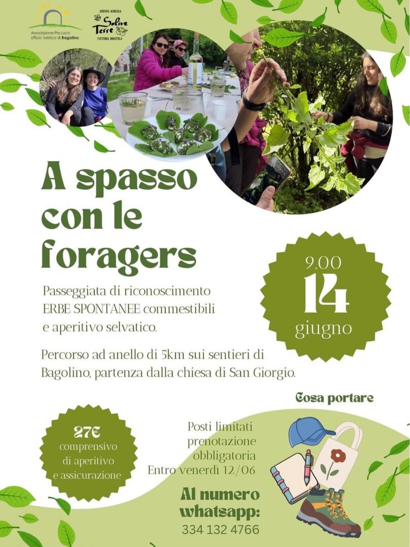 Locandina A spasso con le foragers