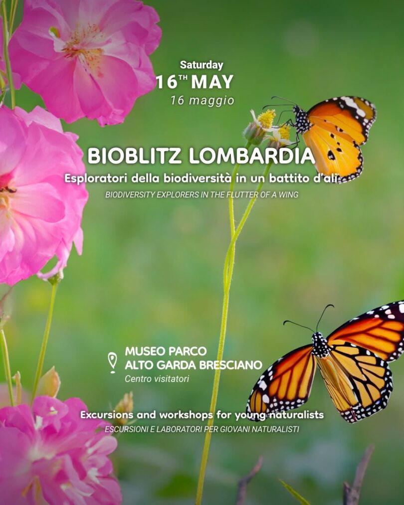 Locandina BioBlitz Lombardia