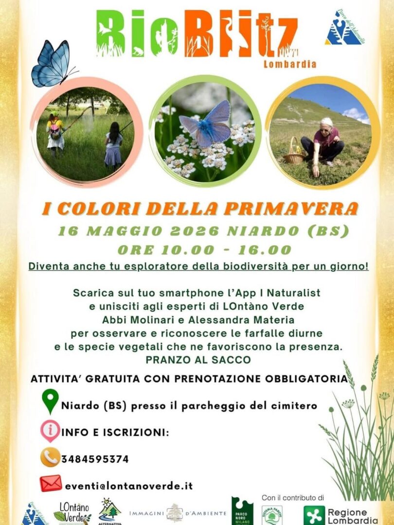 Locandina I colori della Primavera
