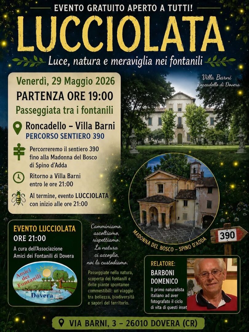 Locandina Lucciolata