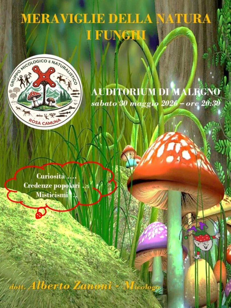 Locandina Meraviglie della natura