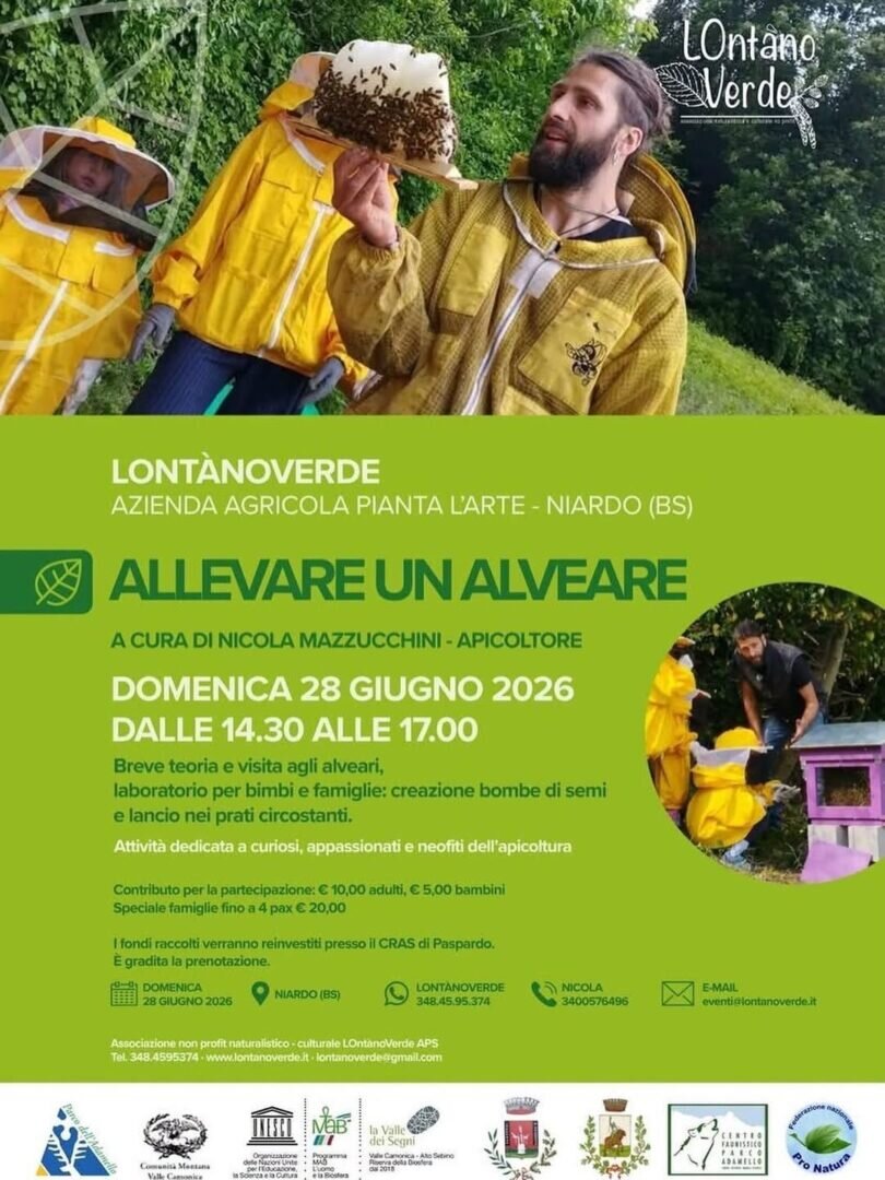 Locandina Allevare un alveare