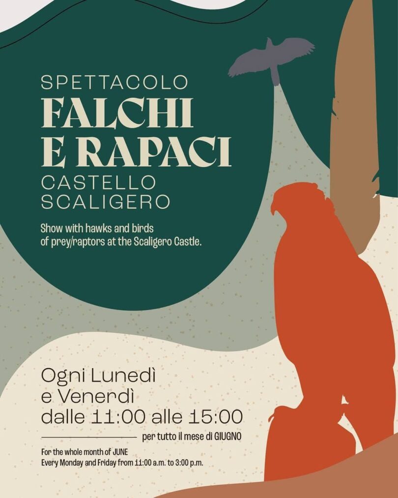 Locandina Falchi e rapaci