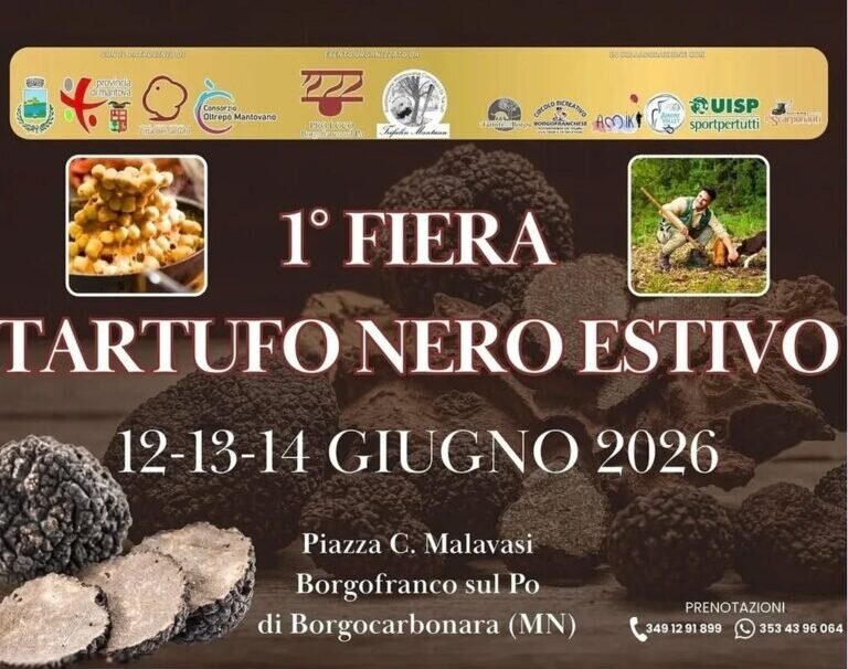 Locandina Fiera del tartufo nero estivo