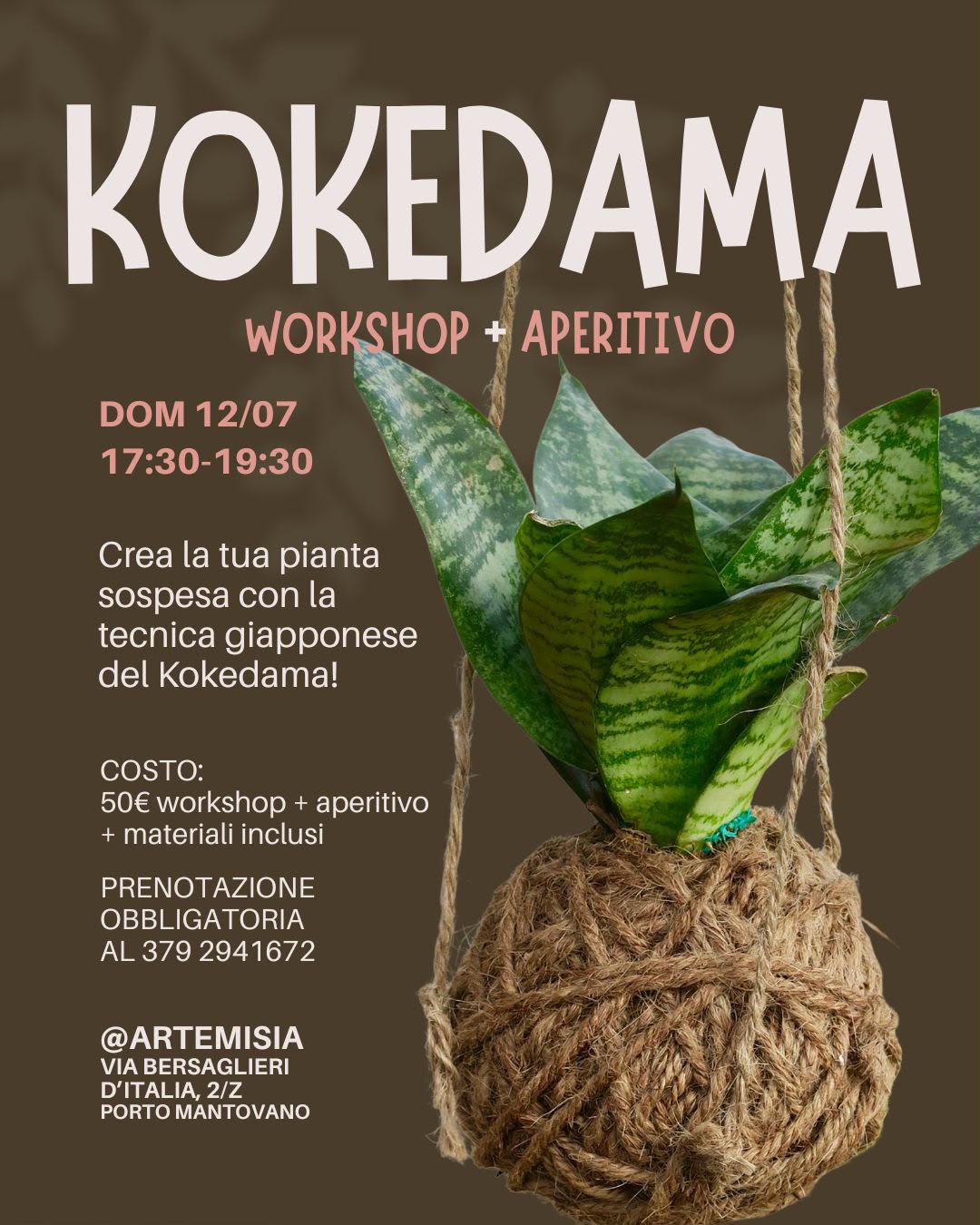 Locandina Kokedama