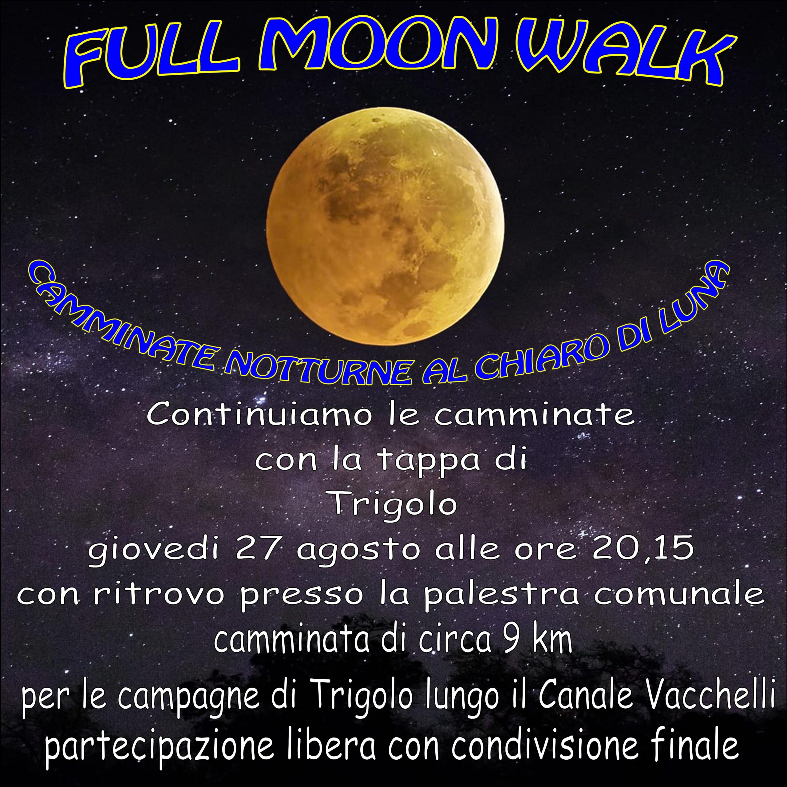 Locandina Full moon walk