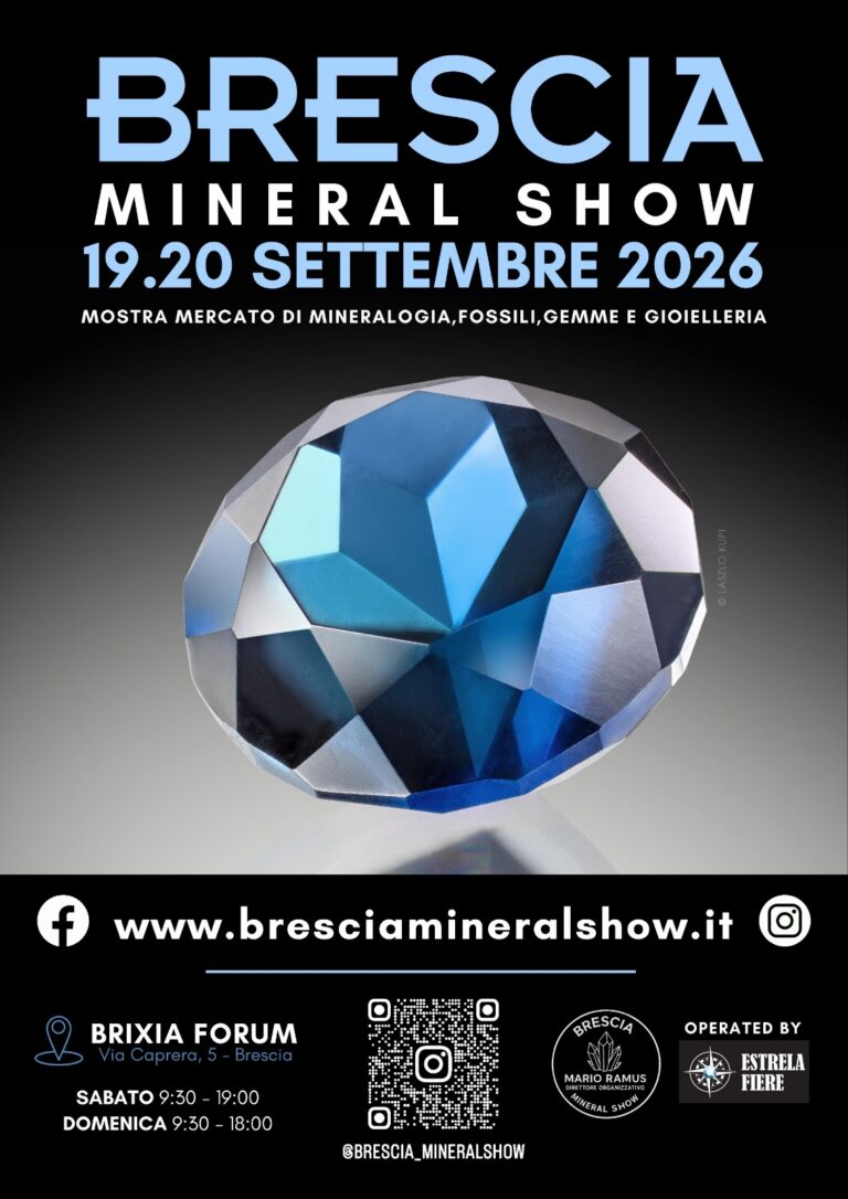 Brescia mineral show