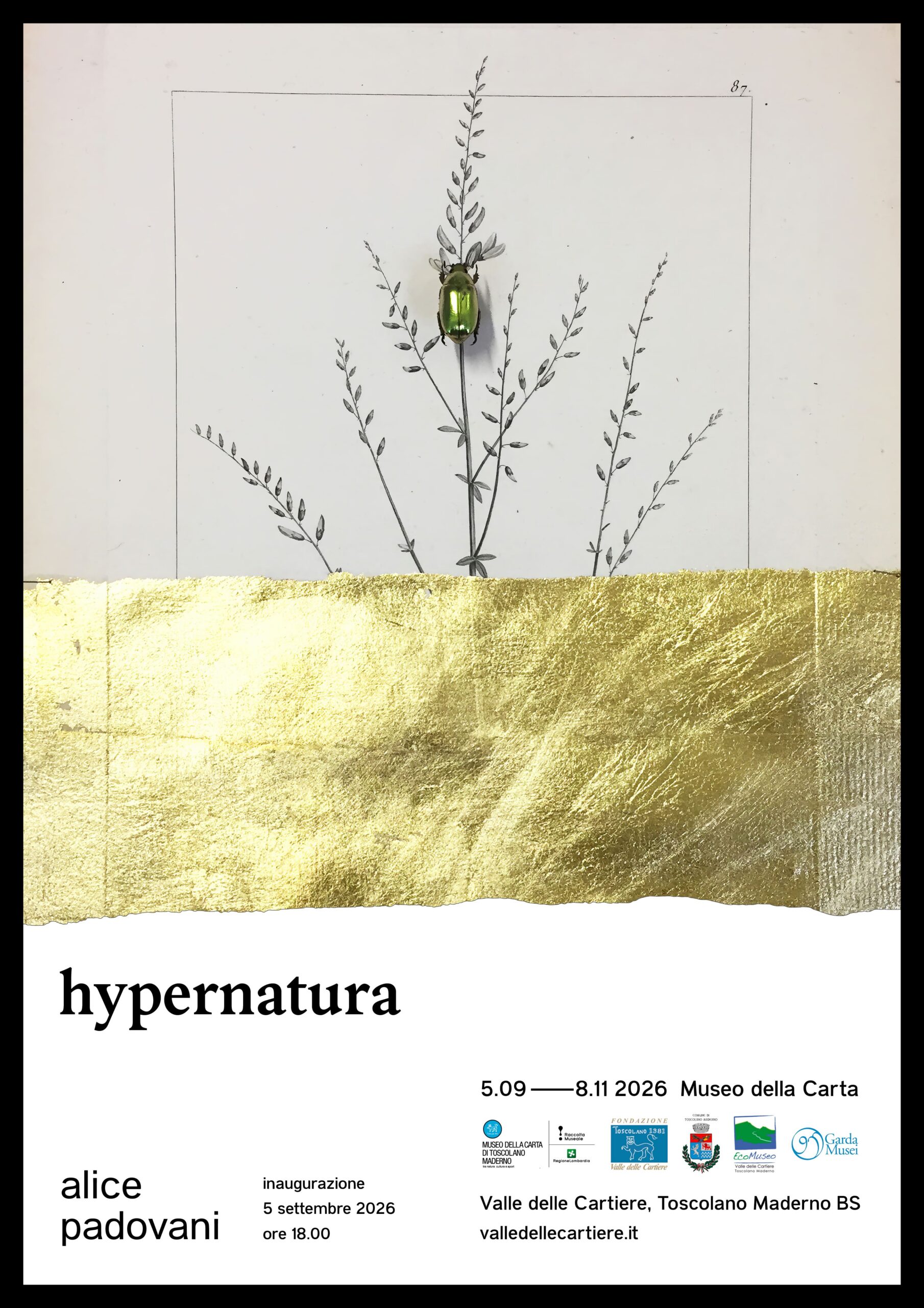 Locandina Hypernatura: Alice Padovani in mostra