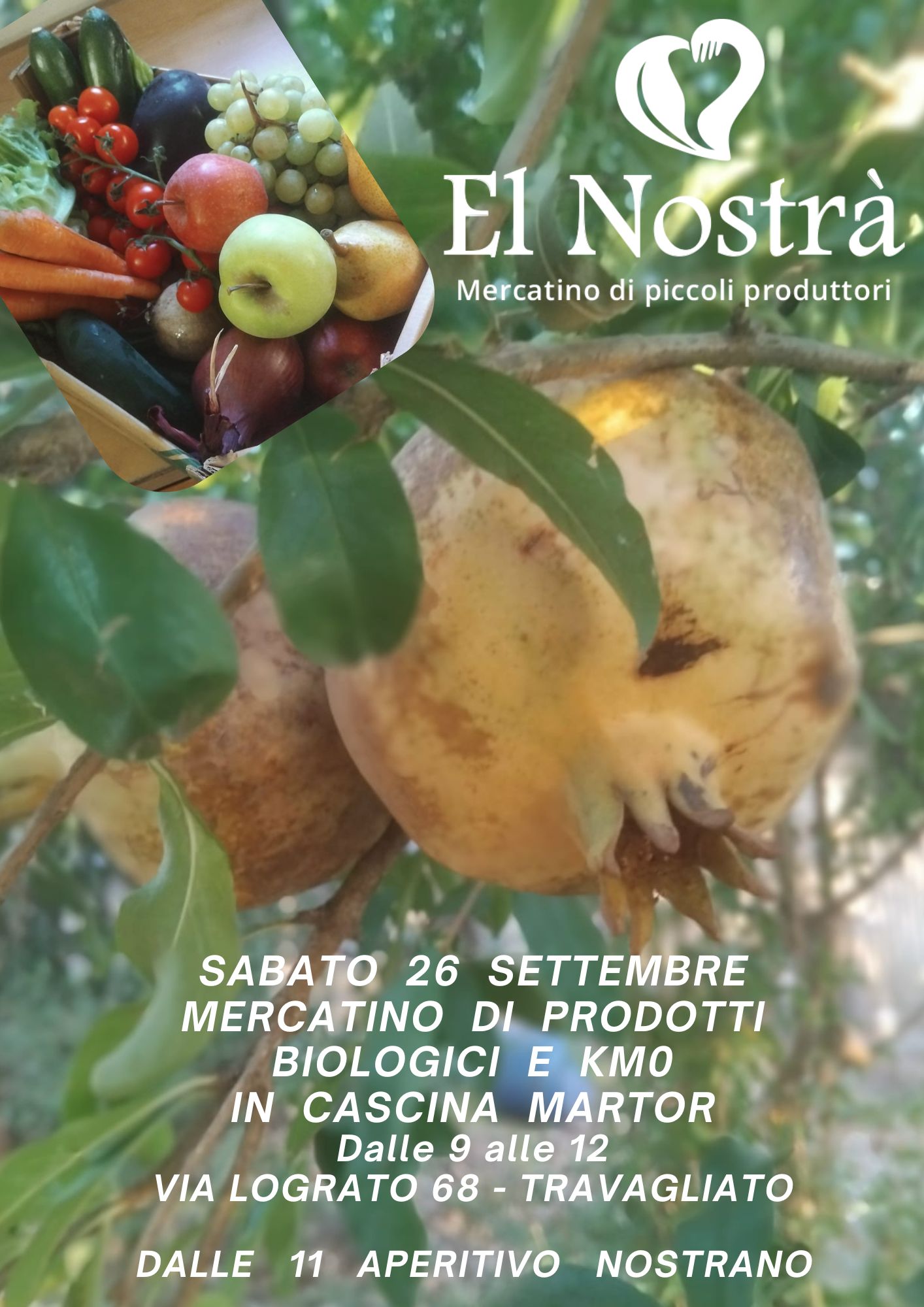 Locandina El nostrà