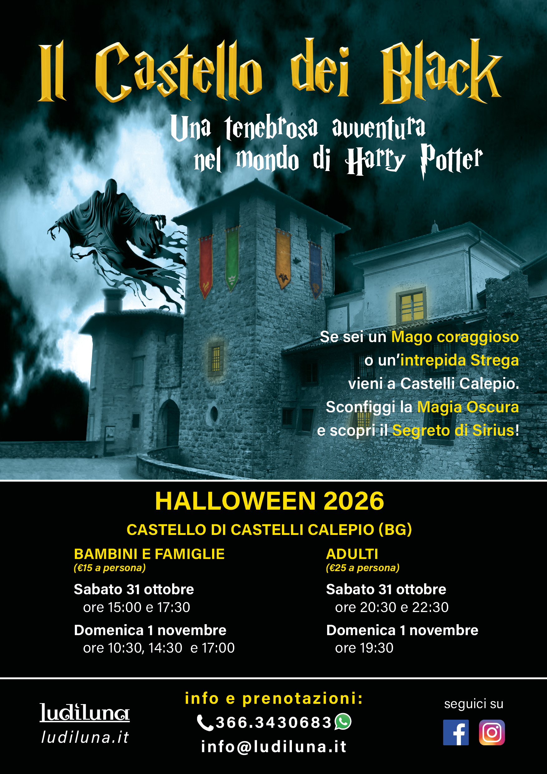 Locandina Il castello dei black