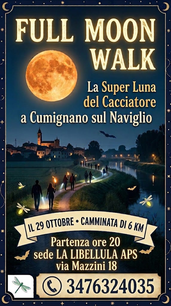 Locandina Full moon walk