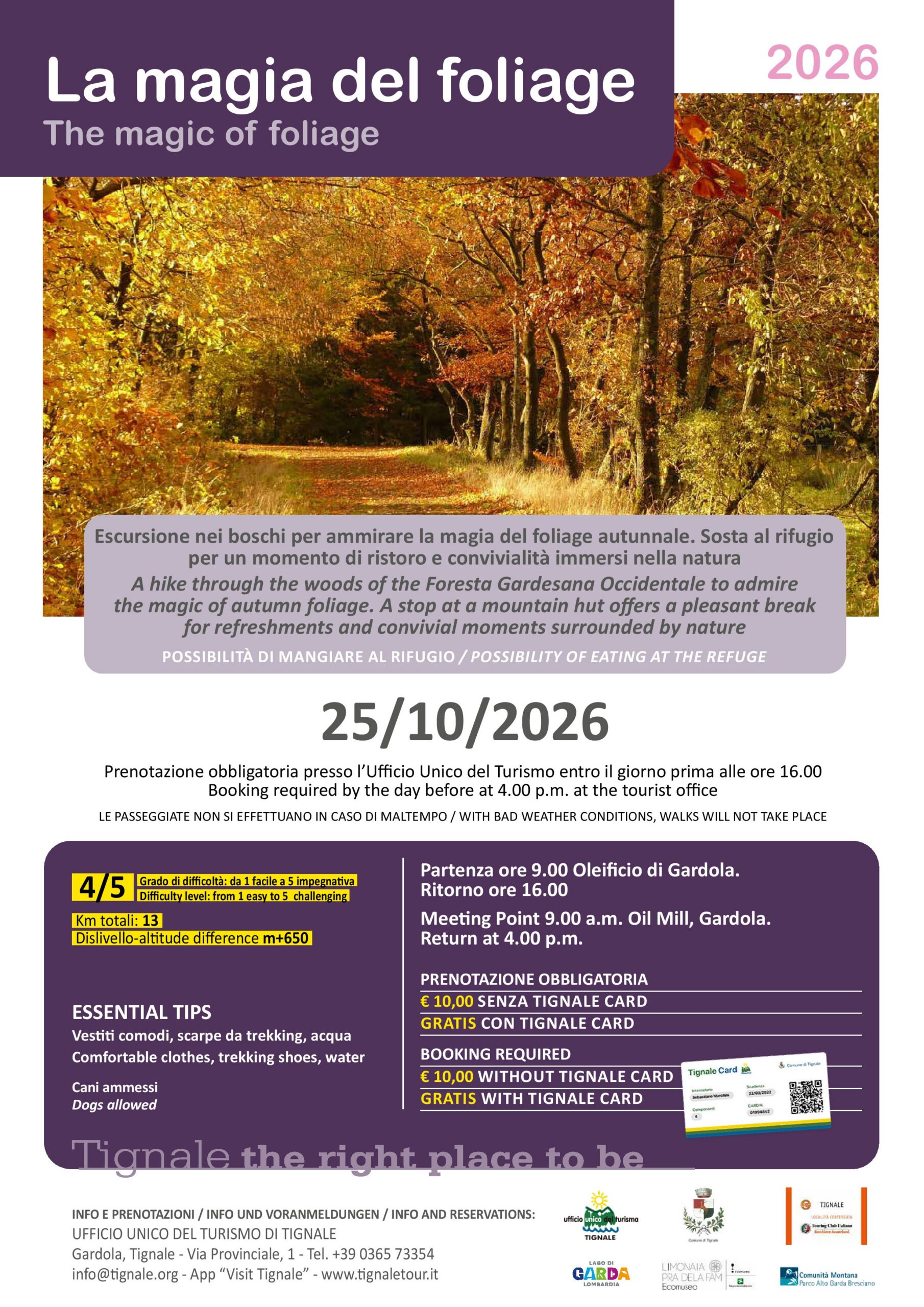 Locandina La magia del foliage